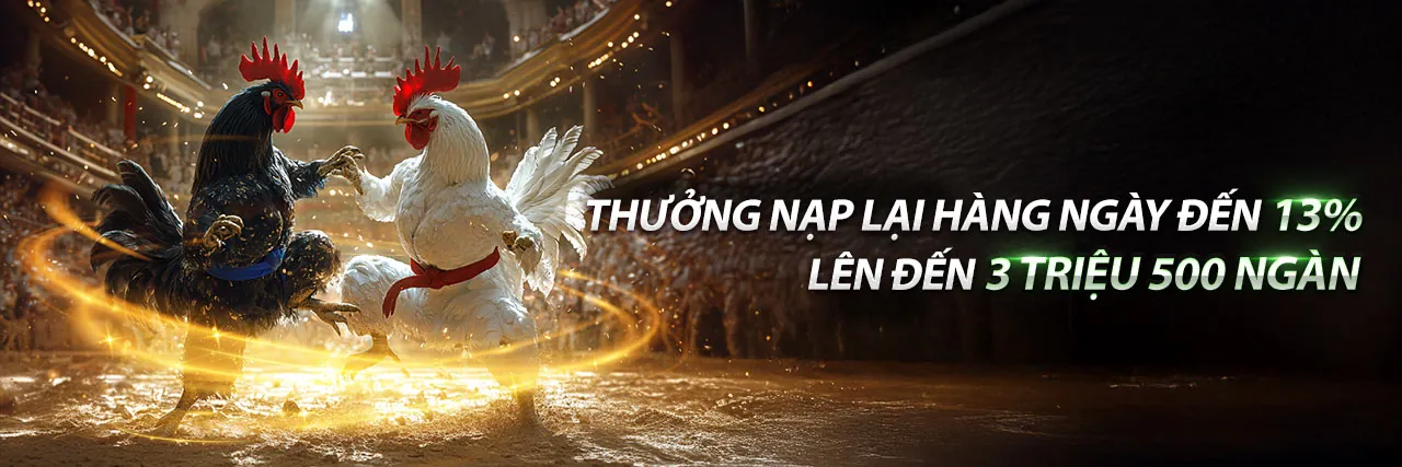 Đá gà trực tuyến max79 casino với trận đấu kịch tính